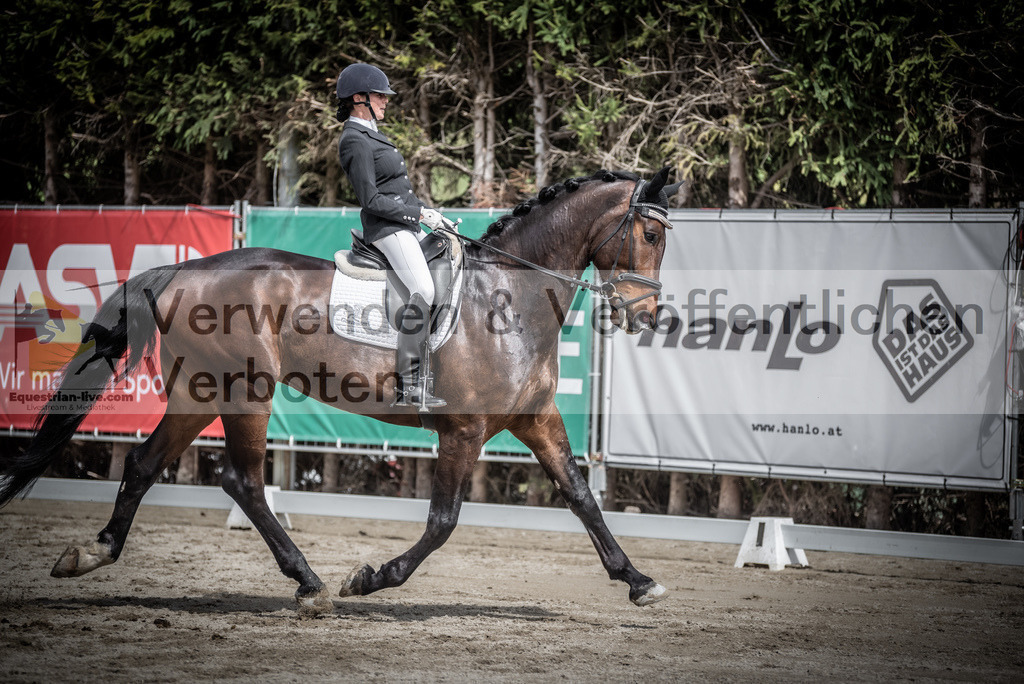 DSC_2284 | equestrian-live-com