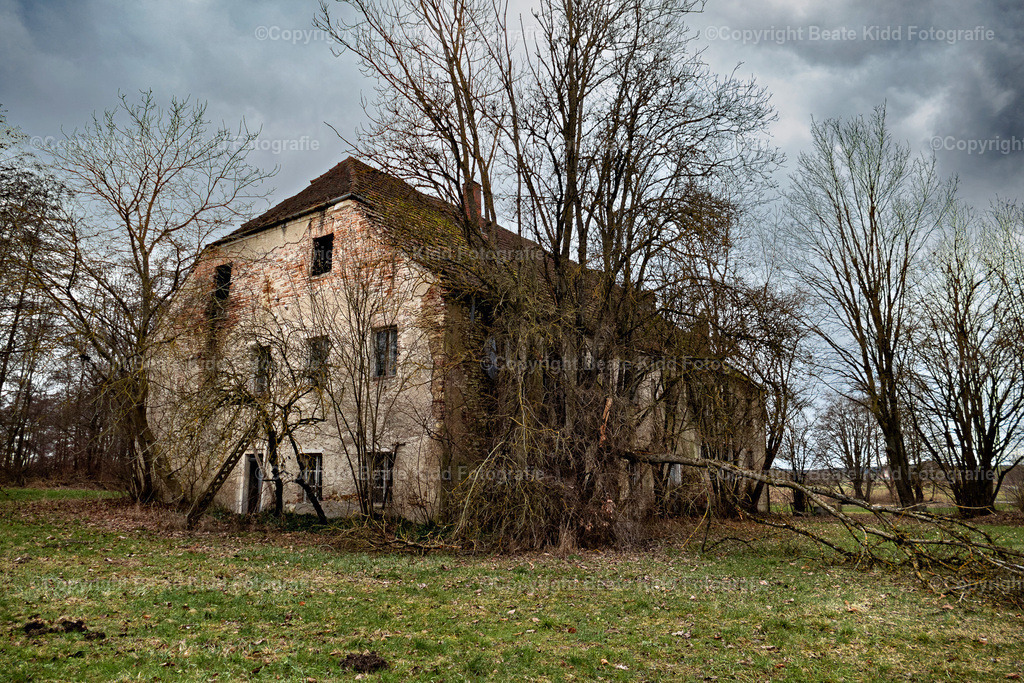 P1900775 | beatekidd-fotografie - Realisiert mit Pictrs.com