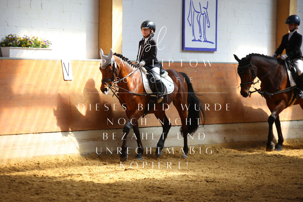 IMGT0846 | pl-fotografie