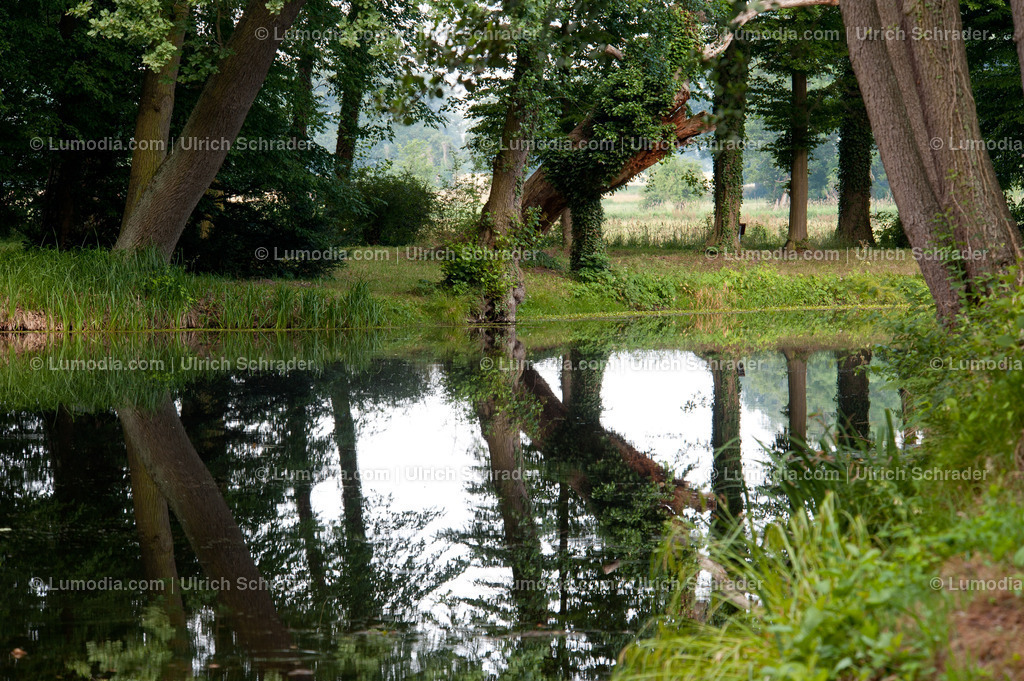 100494-4265 - Schlosspark Krumke | Stockfoto und Bilderpool mit Bildmaterial aus Deutschland, dem Harz, Halberstadt, Quedlinburg, Wernigerode und weltweit. Qualitativ hochwertige und professionelle Fotos anschauen und kaufen. - Realisiert mit Pictrs.com