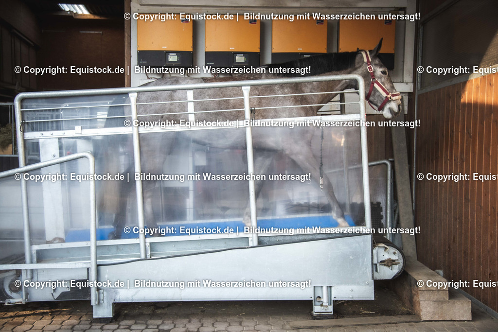 20200118_Laufband_0022 | Foto: Thomas Hartig