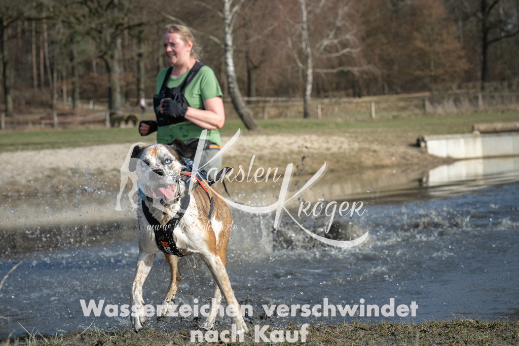 1426_ZZ90447 | kk-dogfotos