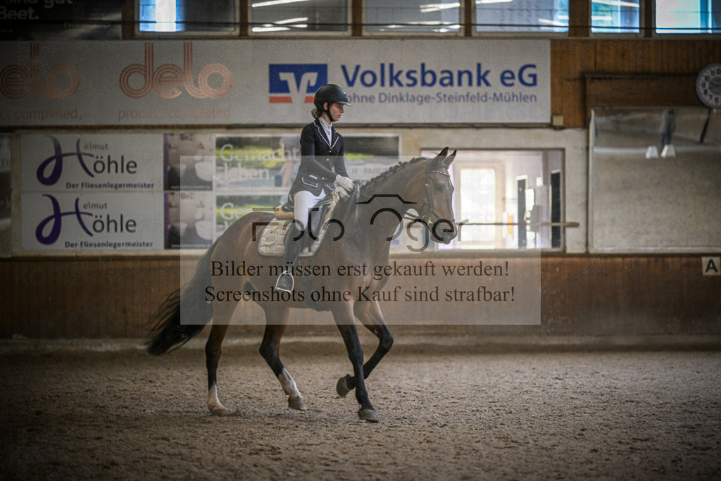 DOS_0144 | Entdecke hochwertige Reitturnierfotos von Foto Oger. Professionell, emotional und authentisch – jetzt Lieblingsmomente im Shop bestellen.Deutschlandweite Turnierfotografie. - Realisiert mit Pictrs.com