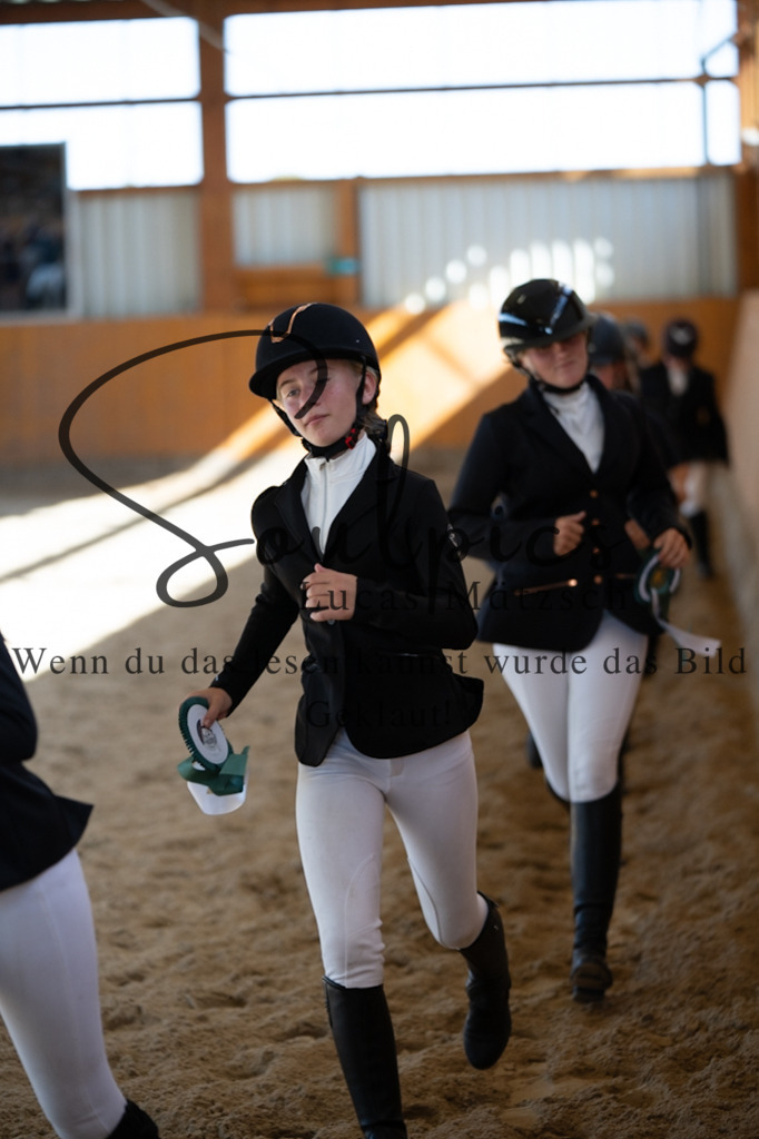 A7V02222 | Pferdefotograf