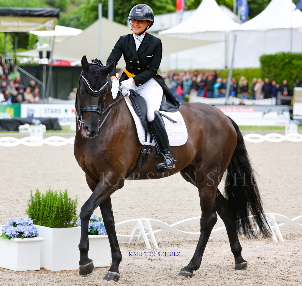 1B3A8146 | Reitsport Reiten
