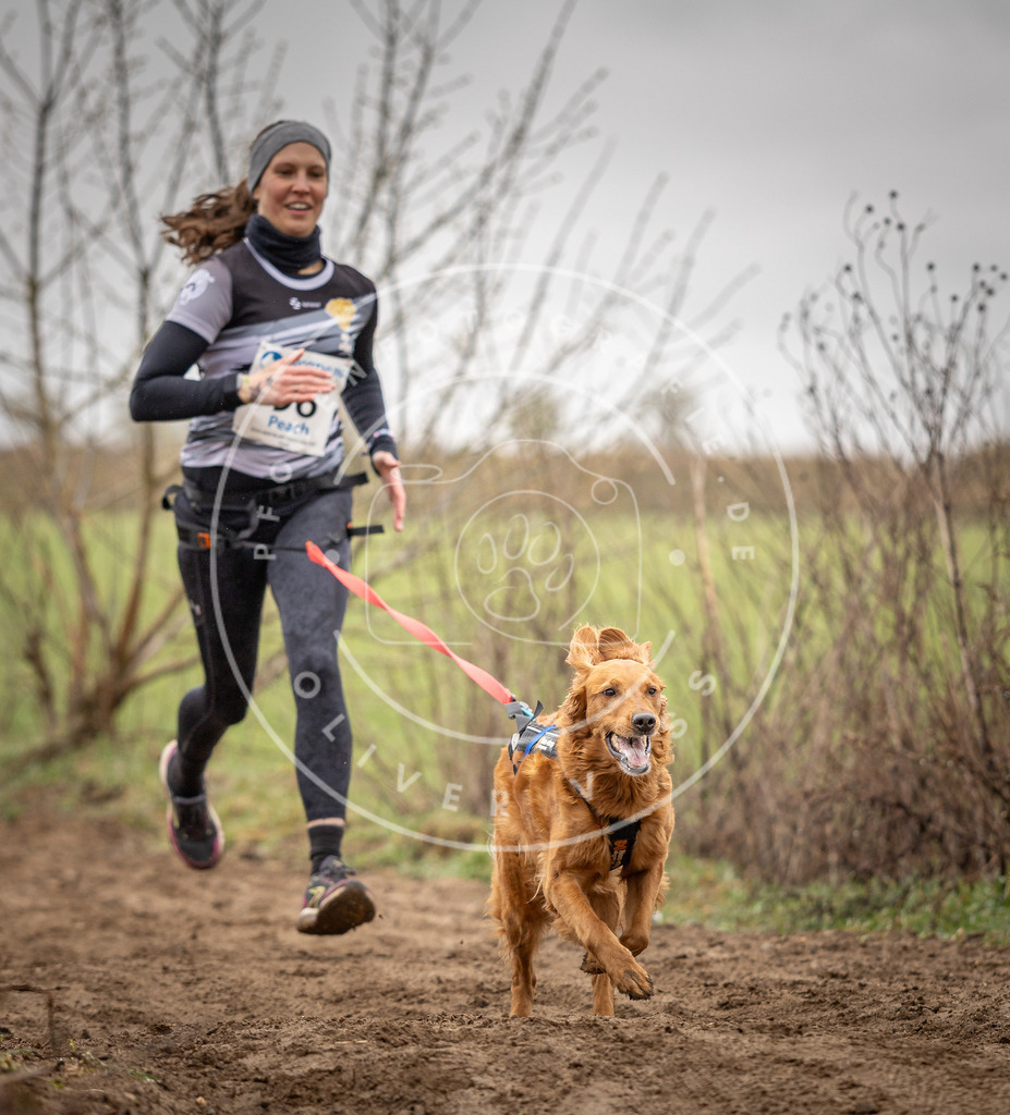 DV3A0110 | Hundefotografie, Tierfotograf, Pfotenfotografie, Fotoshooting Hund, Hunde Portrait, Hundesport, Hundeportraits, Heideshooting, Hunde, Sportfotograf, Hundefotograf, Turnierhundsport, THS,  - Realisiert mit Pictrs.com