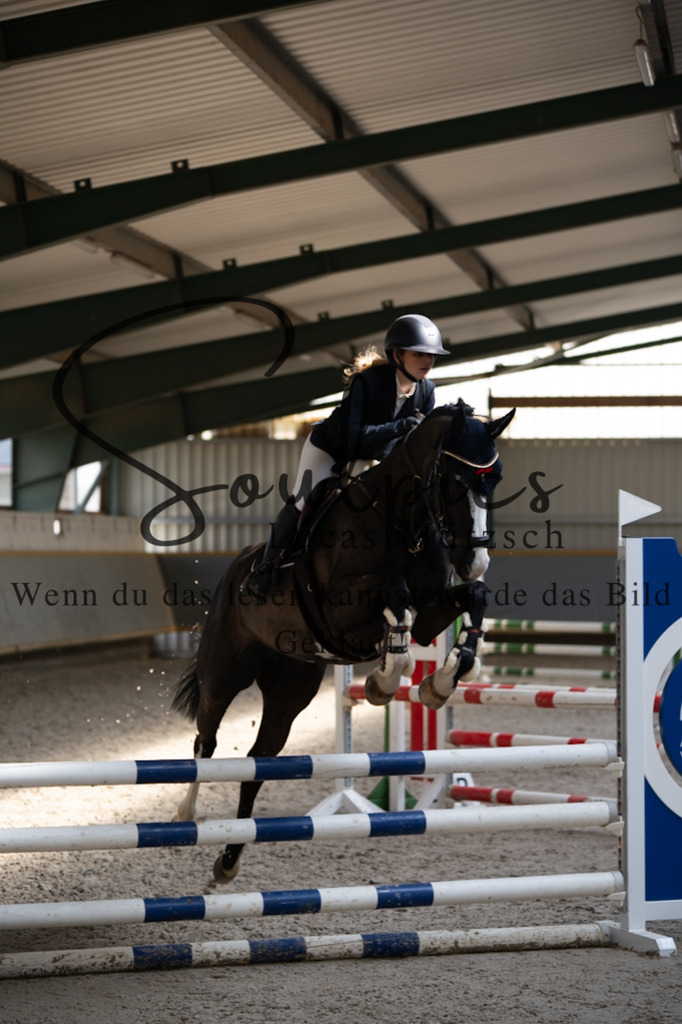 A7V08193 | Pferdefotograf