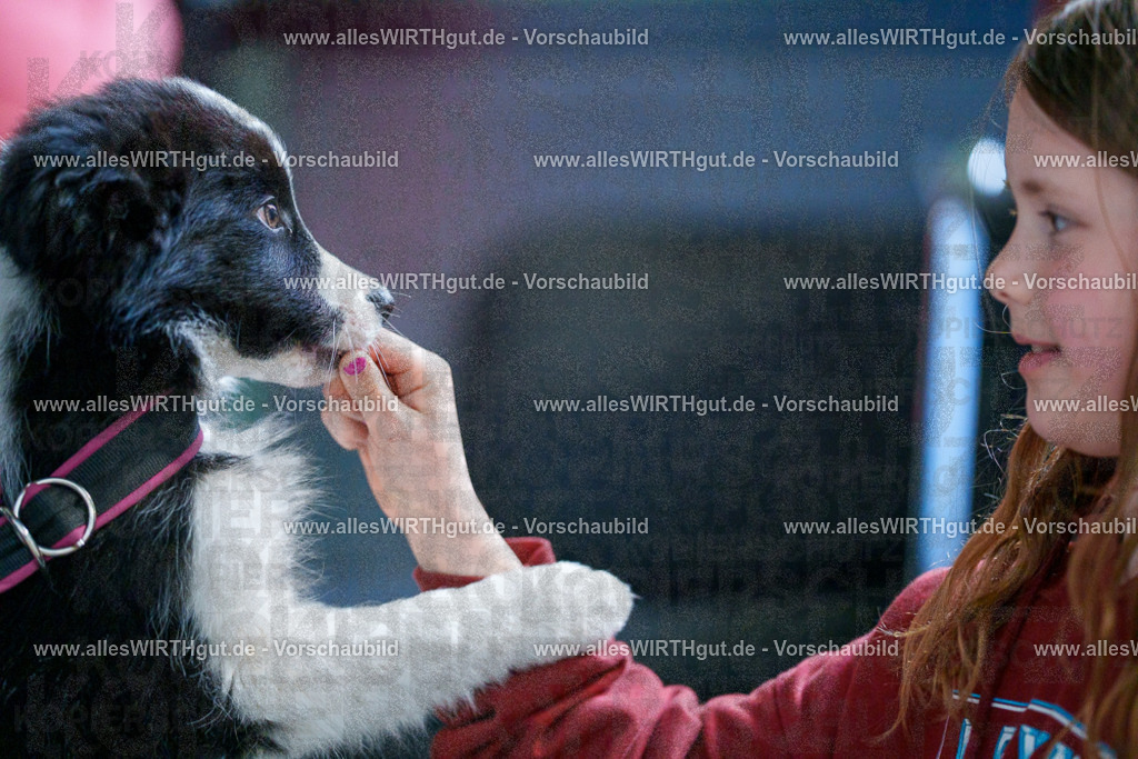 @allesWIRTHgut_Tierfotografie - www.allesWIRTHgut.de - 2604251328-7R503711 | Professionelle Tierfotografie in Mönchengladbach von Daniel Wirth (allesWIRTHgut). Liebevolle & natürliche Bilder von Hunden & Katzen für unvergessliche Erinnerungen.