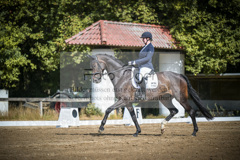 DOS_4254 | Entdecke hochwertige Reitturnierfotos von Foto Oger. Professionell, emotional und authentisch – jetzt Lieblingsmomente im Shop bestellen.Deutschlandweite Turnierfotografie. - Realisiert mit Pictrs.com