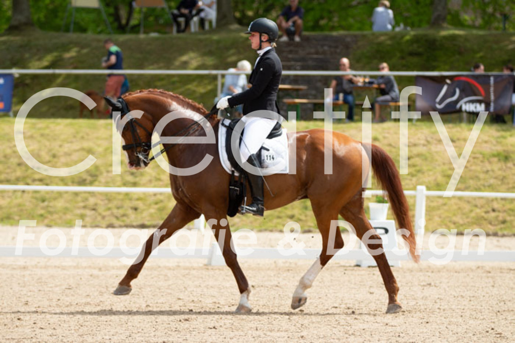 IMG_6493 | Creatify Fotografie