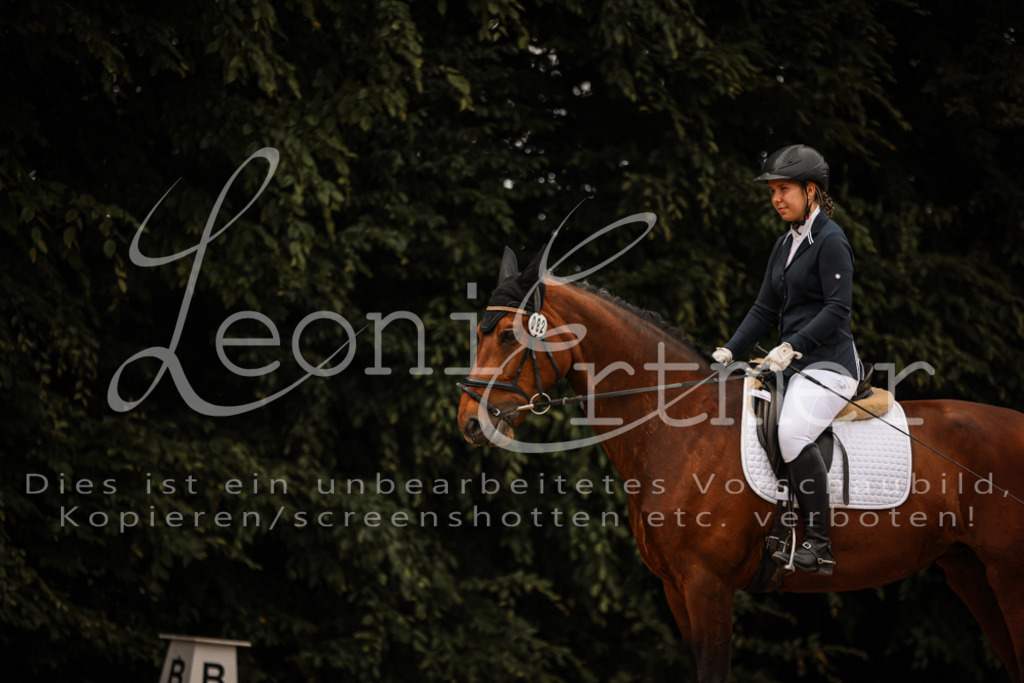 DoDrE00047 | Leoni Ertmer Photography - Realisiert mit Pictrs.com