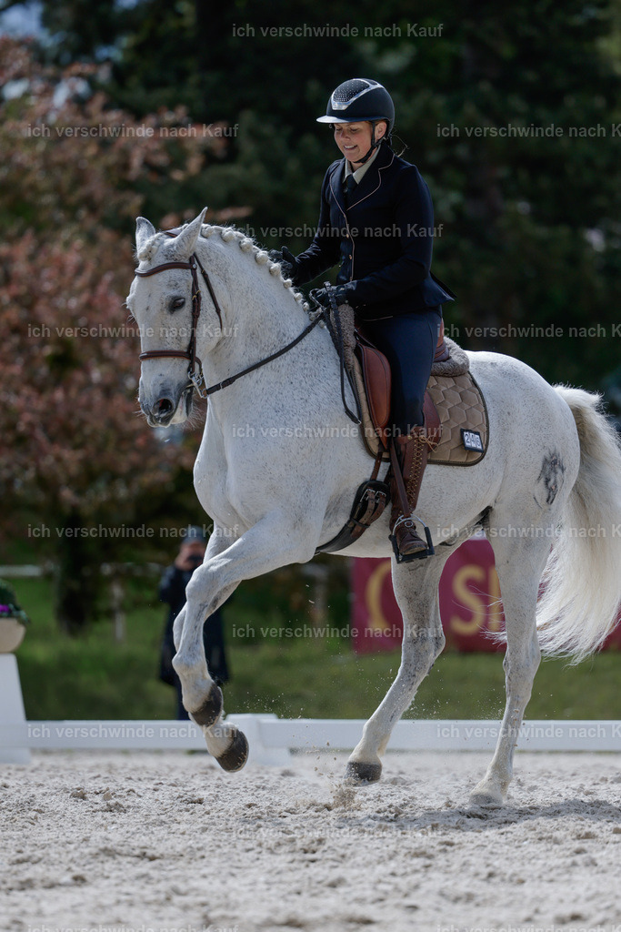 PI26_DR_246_Stoibphotography__AM10085.jpg | working equitationturnier fotograf videograf stoibphotography marixx film working equitation deutschland reitsport turnierfotografie eventfotografie equestrian events