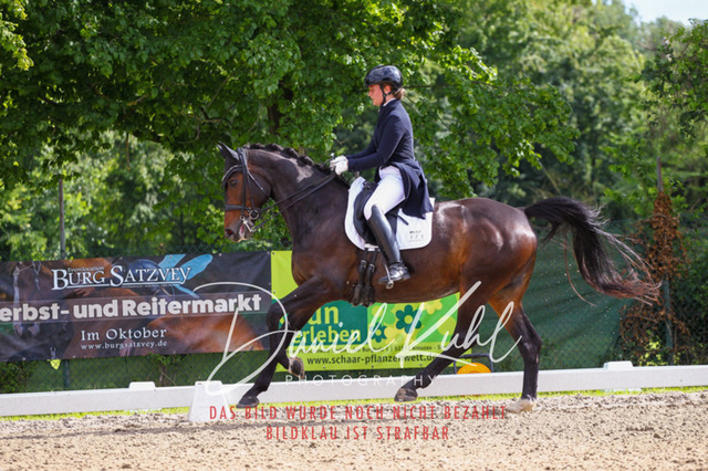 DKP41472 | Turnierfotos kaufen im Webshop von Daniel Kuhl Photography – entdecke professionelle Reitsportfotos aus Turnieren & Events. Hochwertige Turnierbilder online bestellen & sichern. Jetzt Fotos von Reitsportturnieren kaufen!