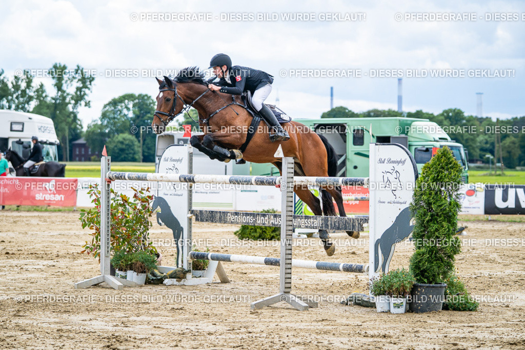 DSC05811 | Pferdegrafie