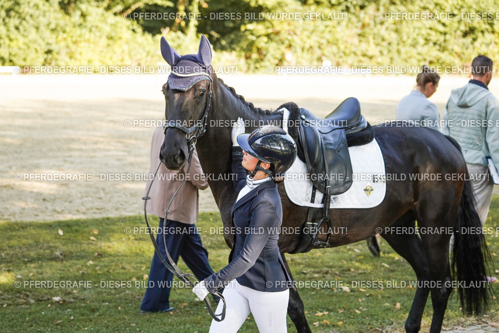 DSC06632 | Pferdegrafie