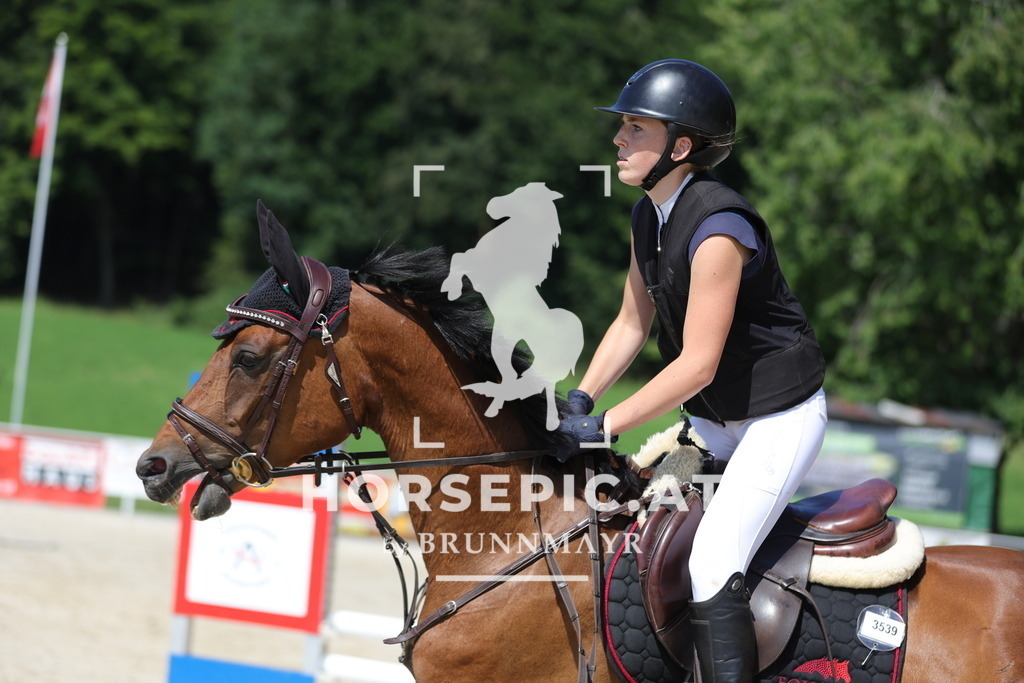 0P6A6315 | Willkommen bei Brunnmayr - Design & Fotografie – Ihrem Spezialisten für Reitturniere und Pferdeveranstaltungen in Oberösterreich, Salzburg und Bayern! Seit über 17 Jahren sind wir leidenschaftlich dabei.