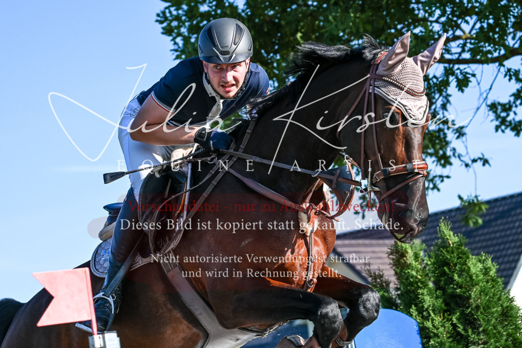 DSC_2962 | Pferde- und Turnierfotografie in Westsachsen. Pferdeportraits, Auftragszeichnungen und intuitive Kunst.