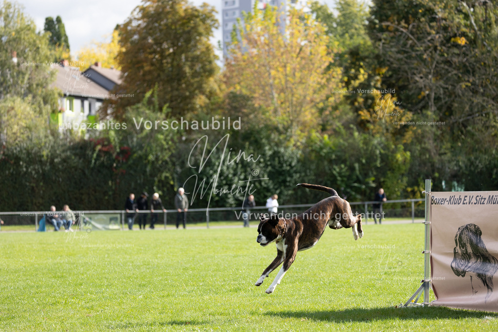_16A6899 | Einzigartige Fotos von Hunden & Menschen –Actionfotos, Portraits, Vereinsaufnahmen & Paarshootings – authentisch, lebendig & mit Herz.