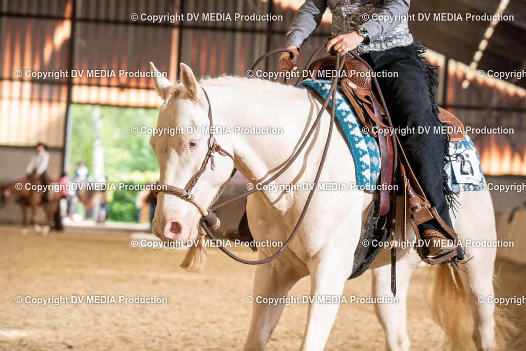 Zeiskam Tag 1-610 | dv-media-shop - Realisiert mit Pictrs.com