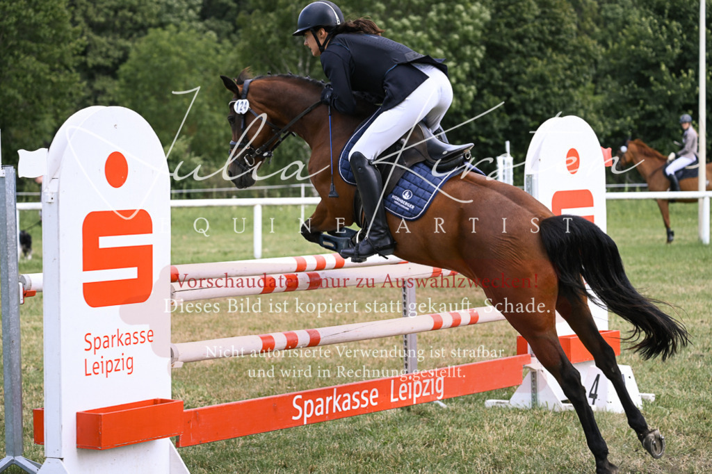 DSC_0662 | Pferde- und Turnierfotografie in Westsachsen. Pferdeportraits, Auftragszeichnungen und intuitive Kunst.