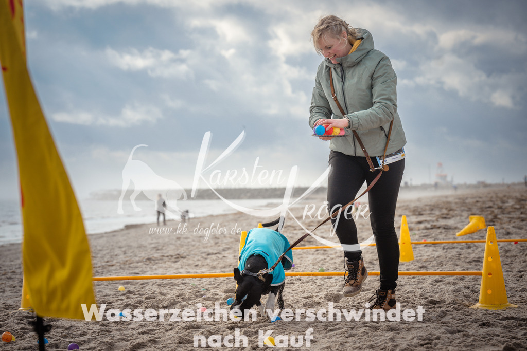 1200_ZZ93421 | kk-dogfotos