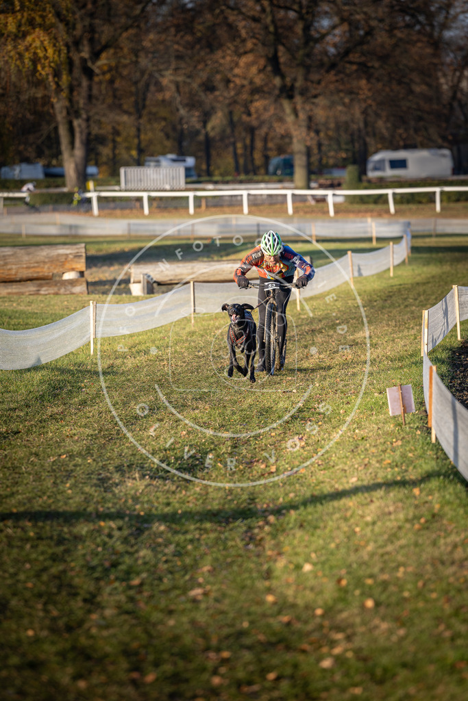 CaniXpix_DV3A0610 | Hundefotografie, Tierfotograf, Pfotenfotografie, Fotoshooting Hund, Hunde Portrait, Hundesport, Hundeportraits, Heideshooting, Hunde, Sportfotograf, Hundefotograf, Turnierhundsport, THS,  - Realisiert mit Pictrs.com