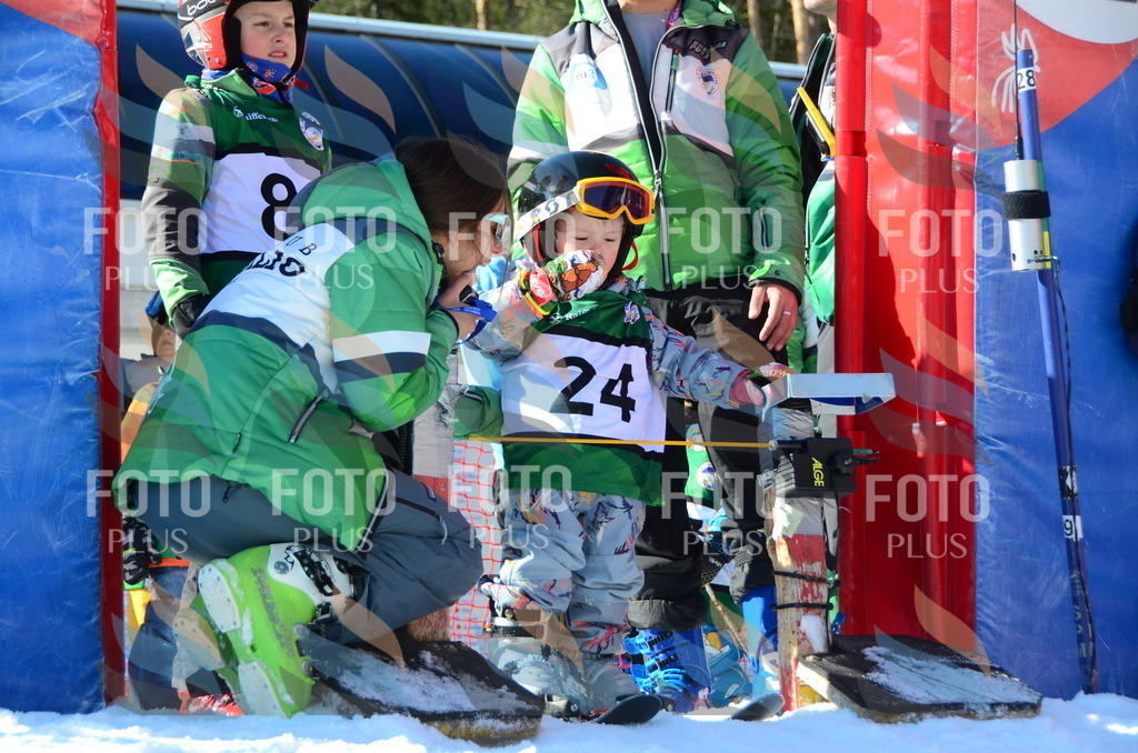 C4787 | holidayphoto