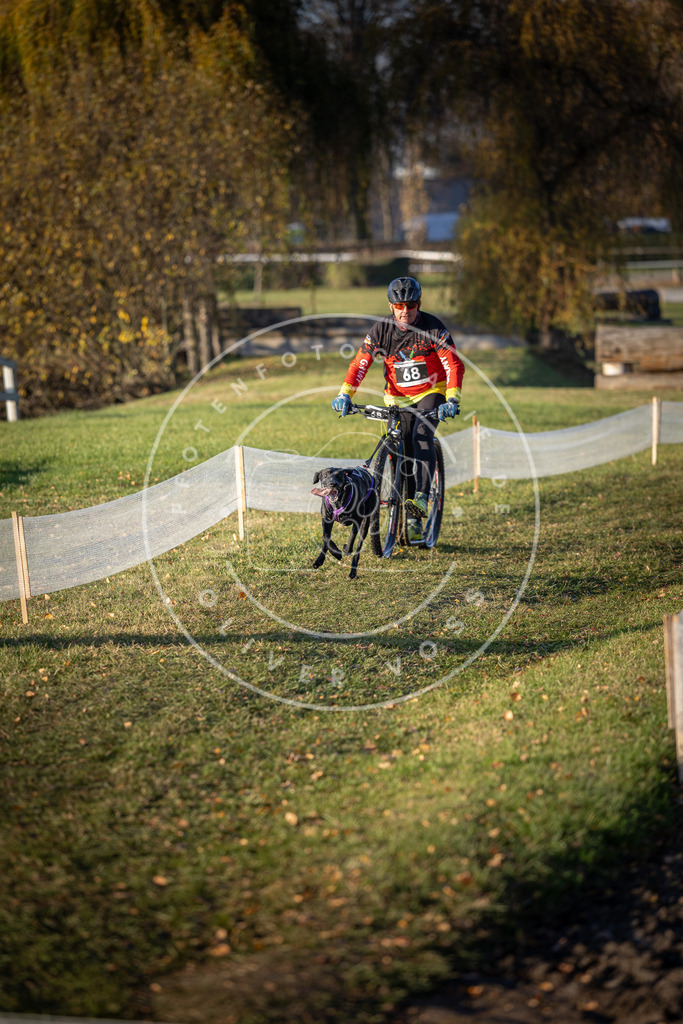 CaniXpix_DV3A1102 | Hundefotografie, Tierfotograf, Pfotenfotografie, Fotoshooting Hund, Hunde Portrait, Hundesport, Hundeportraits, Heideshooting, Hunde, Sportfotograf, Hundefotograf, Turnierhundsport, THS,  - Realisiert mit Pictrs.com