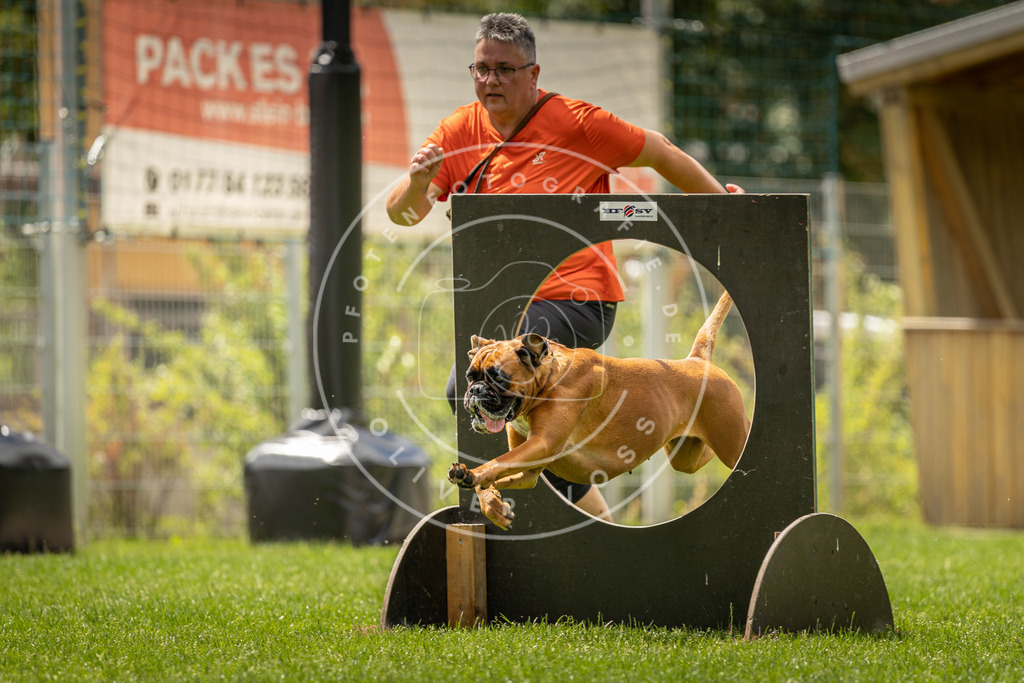 Pfotenfotografie_DV3A3584 | Hundefotografie, Tierfotograf, Pfotenfotografie, Fotoshooting Hund, Hunde Portrait, Hundesport, Hundeportraits, Heideshooting, Hunde, Sportfotograf, Hundefotograf, Turnierhundsport, THS,  - Realisiert mit Pictrs.com