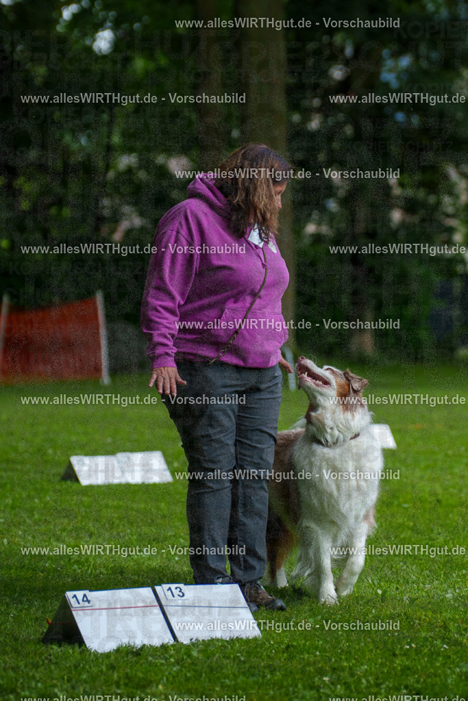 @allesWIRTHgut_Tierfotografie - www.allesWIRTHgut.de - 7R503310 | Professionelle Tierfotografie in Mönchengladbach von Daniel Wirth (allesWIRTHgut). Liebevolle & natürliche Bilder von Hunden & Katzen für unvergessliche Erinnerungen.