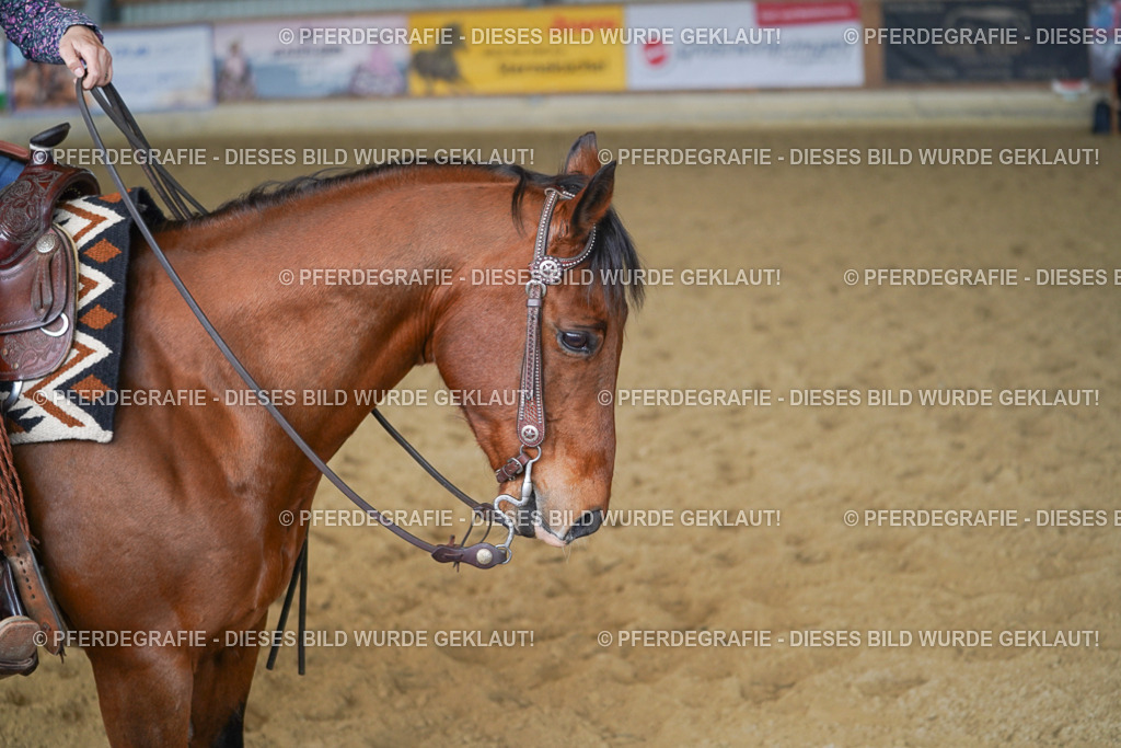 DSC00659 | Pferdegrafie