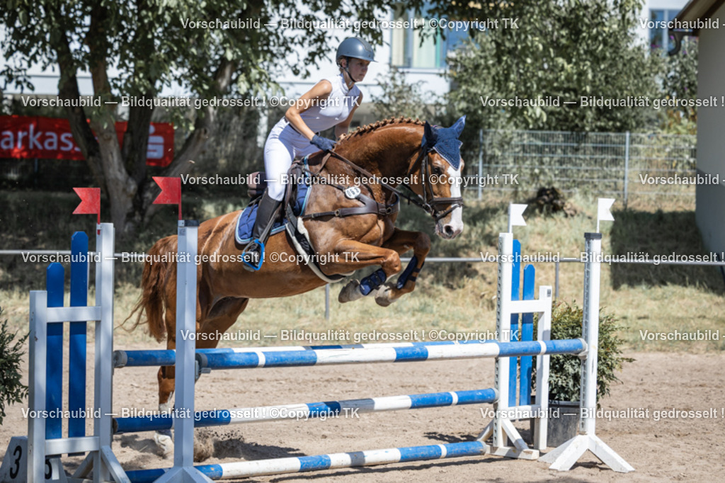 _D5A7463 | Emotionale Pferde- & People-Fotografie rund um Heidelberg, Leimen & Umgebung. Natürliche Fotos von Pferd, Mensch & Familie. Jetzt Termin sichern!