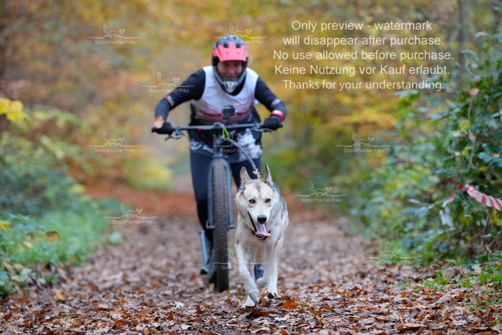 Scooter_So-46 | stephaniefillaphotographie - Realisiert mit Pictrs.com