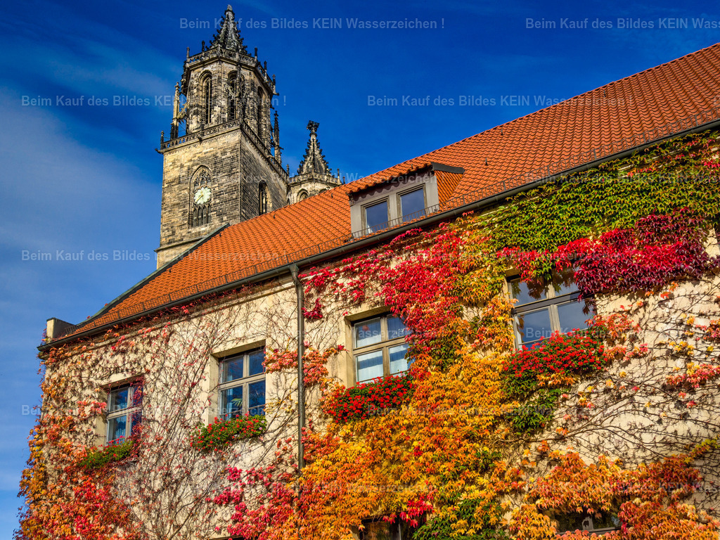 Magdeburg Sehenswürdigkeiten Konsistorium Evangelische Kirche am Dom Kreuzgang Südflügel im Herbst-3770 | Konsistorium der Evangelische Domgemeinde - Realisiert mit Pictrs.com