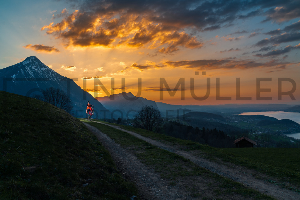 DSC05761 | Tinu Müller Fotografie- Bildershop - Realisiert mit Pictrs.com