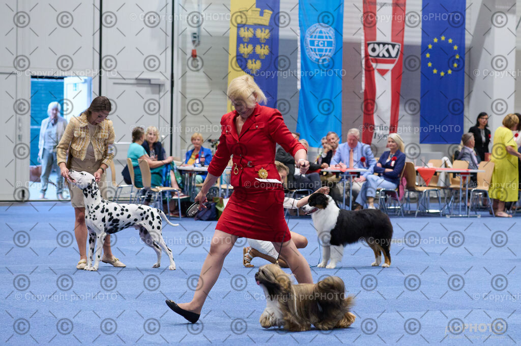 202406_ÖKV-IHA-Tulln24_DSC_3354 | proPHOTO - Realisiert mit Pictrs.com