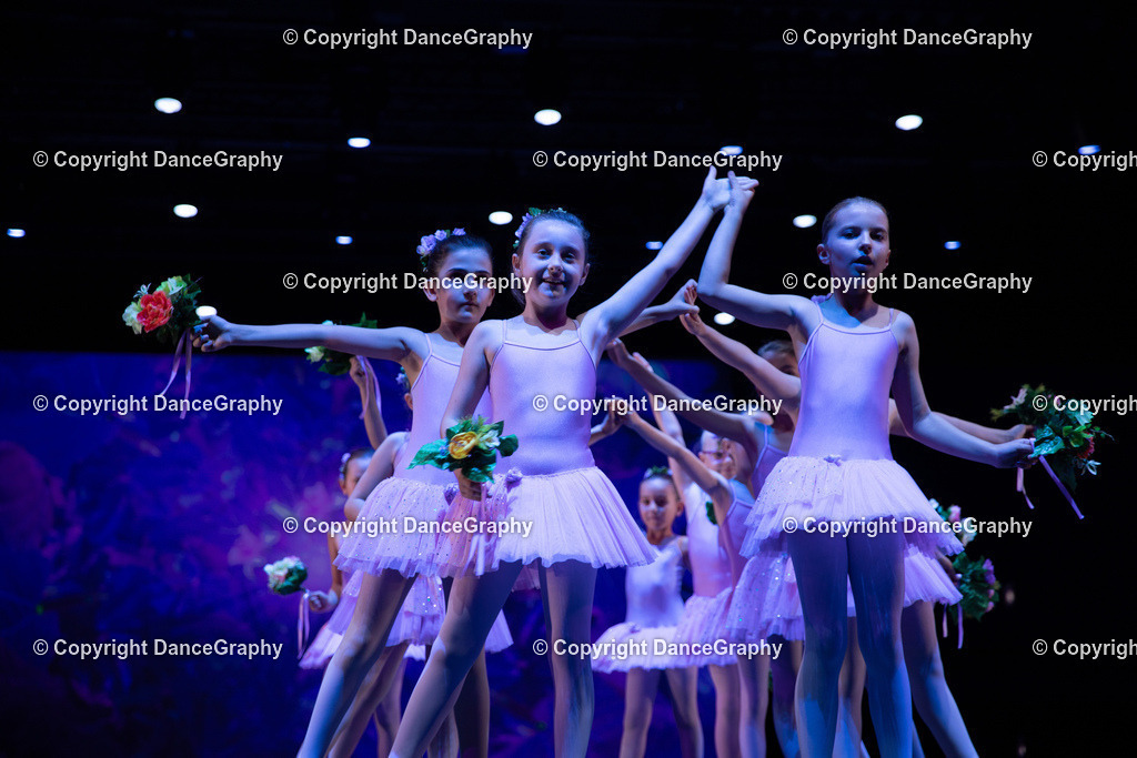 GPHY4860 | DanceGraphy - Realisiert mit Pictrs.com