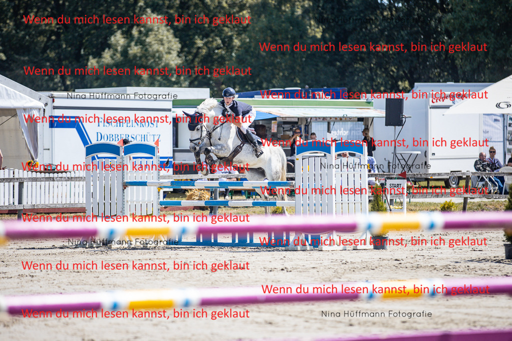 BK1A6272 | Turnierbilder Turnierfotos Nina Hüffmann Turnierfotografie Pferdefotografie Tierzeichnung Haustierzeichnung Pferdezeichnung Hundezeichnung Videograf  - Realisiert mit Pictrs.com