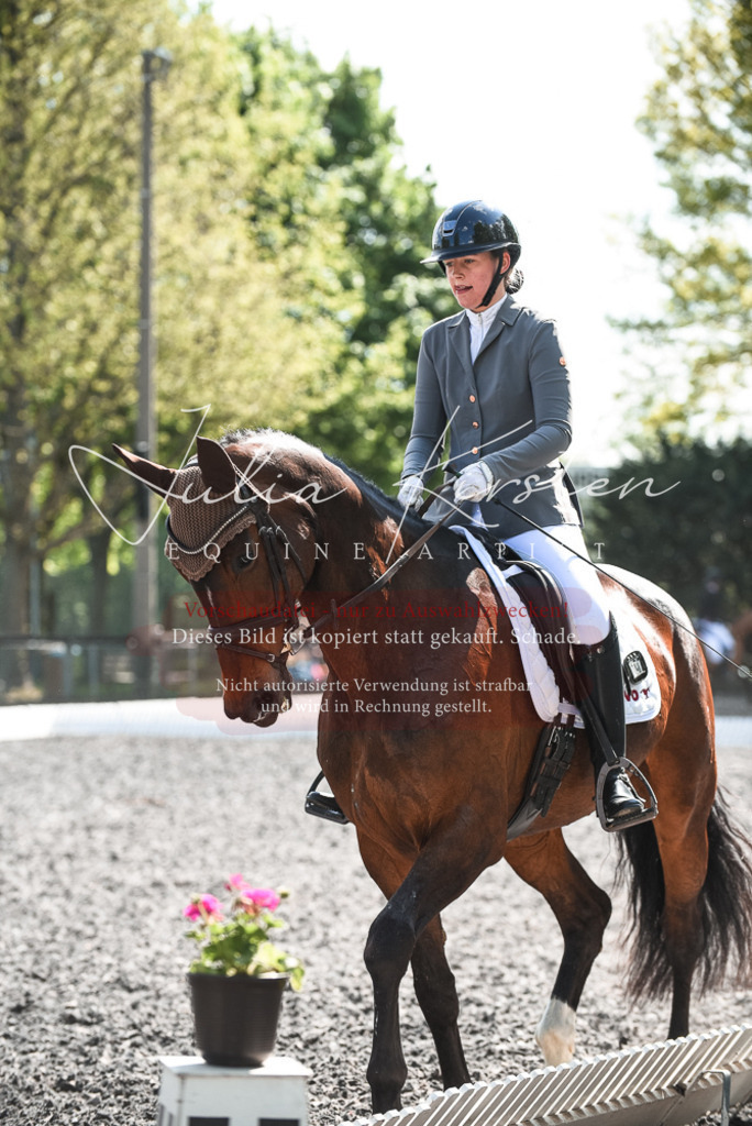 DSC_8966 | Pferde- und Turnierfotografie in Westsachsen. Pferdeportraits, Auftragszeichnungen und intuitive Kunst.