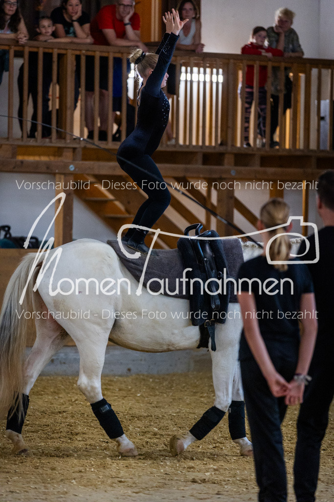 Einzel-063 | MomenTaufnahmen Pferdesportfotos