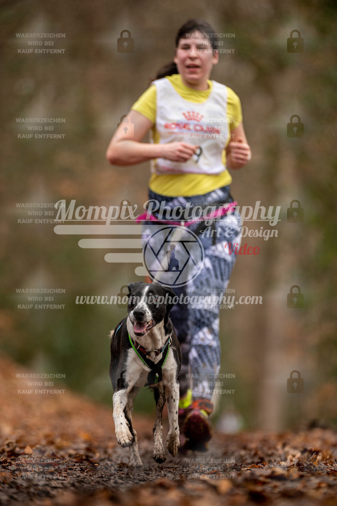 SPA_2023_DIM_CCL-105 | PayLife