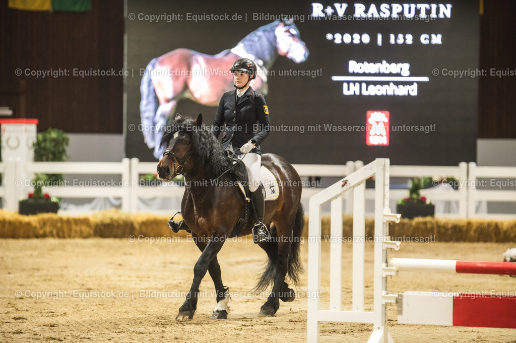 20240302_Hengstvorstellung_Marbach_TOMsPiC_0293 | equistock