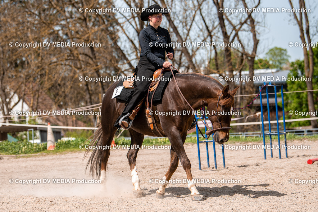 Balingen Tag 4-596 | dv-media-shop - Realisiert mit Pictrs.com