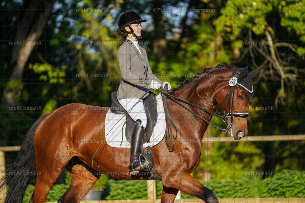 20221007-FAH00382 | Diessen am Ammersee, 2022, Dressur- und Springturnier, Reitsportbilder, Turnierfotografen Bayern, Pferdefotografen, Fotoagentur Herrmann, Turnierbilder
