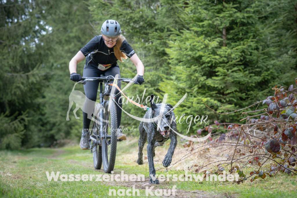 1310_ZZ93852 | kk-dogfotos