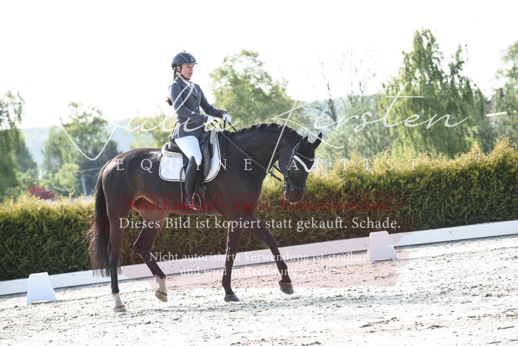 20230518_JK-Röhrsdorf-09-0793 | Pferde- und Turnierfotografie in Westsachsen. Pferdeportraits, Auftragszeichnungen und intuitive Kunst.