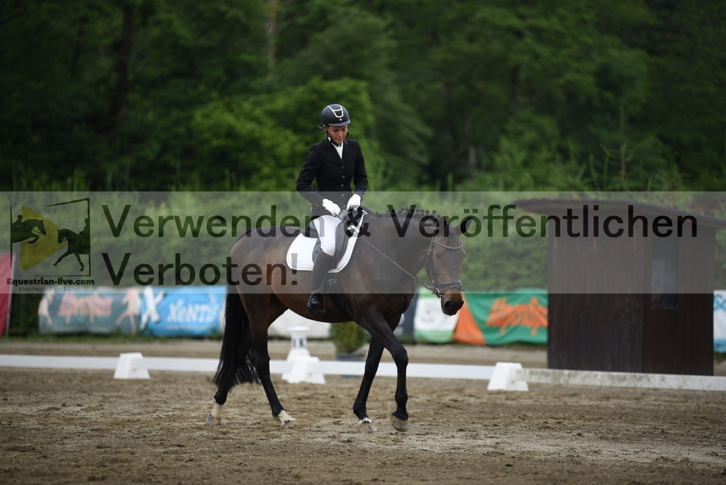 DSC_7918 | equestrian-live-com