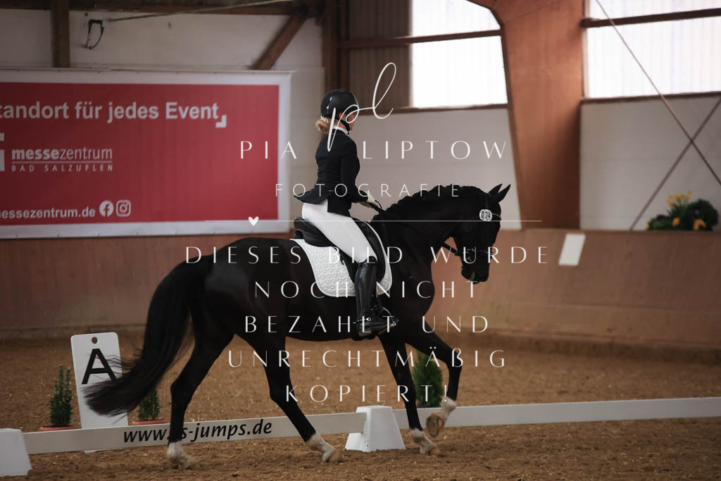 IMGT6995 | pl-fotografie