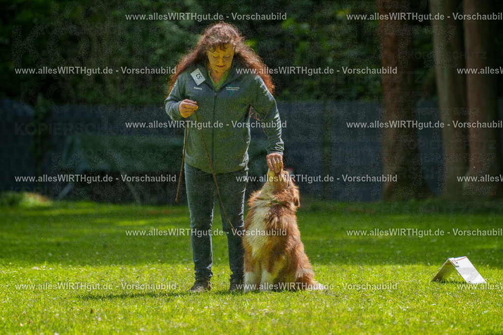 @allesWIRTHgut_Tierfotografie - www.allesWIRTHgut.de - 7R500851 | Professionelle Tierfotografie in Mönchengladbach von Daniel Wirth (allesWIRTHgut). Liebevolle & natürliche Bilder von Hunden & Katzen für unvergessliche Erinnerungen.