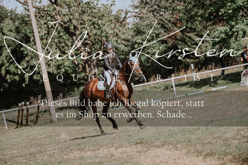 DSC_9399 | Pferde- und Turnierfotografie in Westsachsen. Pferdeportraits, Auftragszeichnungen und intuitive Kunst.